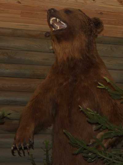 Abant Doğa Müzesi.3